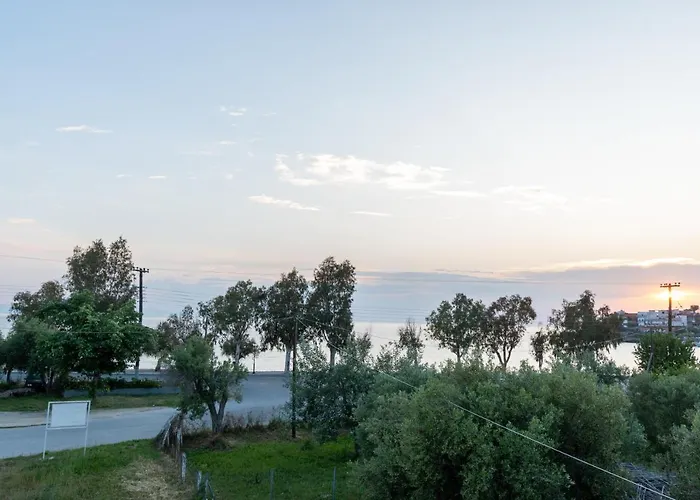 Orion * 新马尔马拉斯